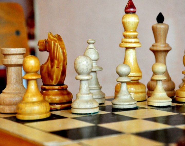 В химкинских библиотеках открылся Клуб настольных игр