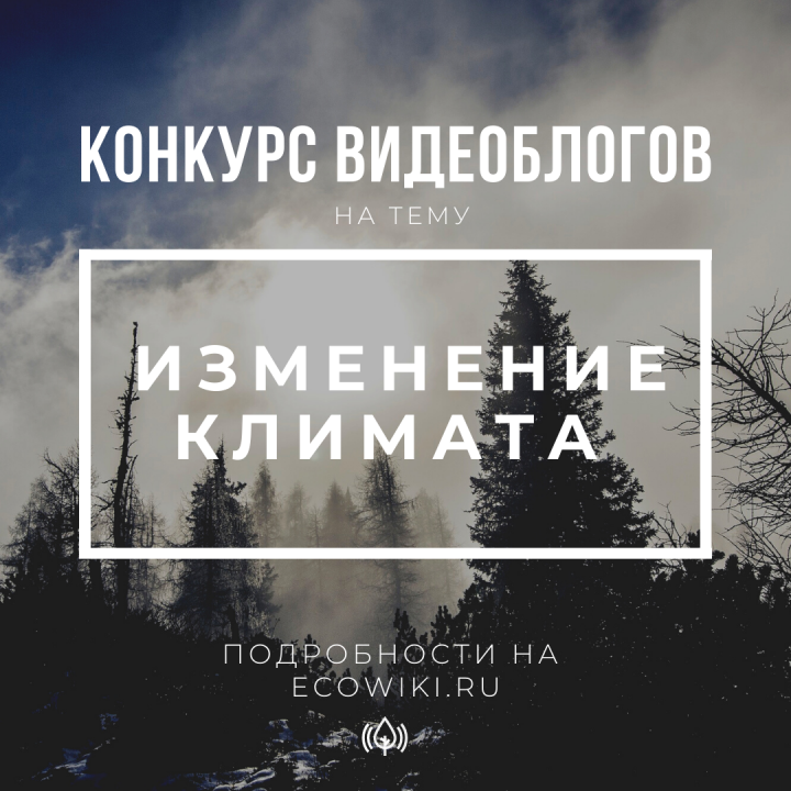 Химчане могут снять видеоблог об изменении климата и получить денежный приз