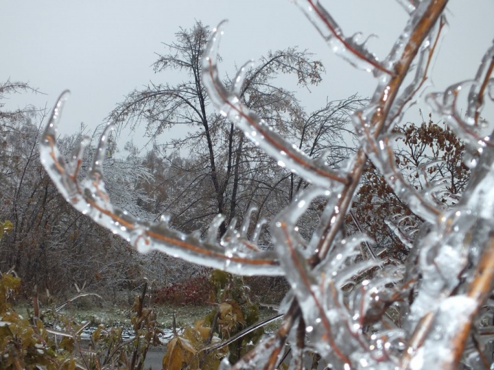 Ледяной дождь не повлиял на работу сетей АО «Мособлэнерго» в Химках