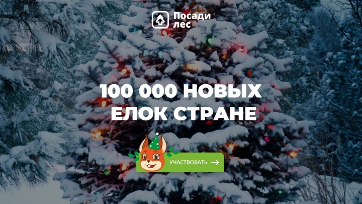 Химчане могут восстановить леса в акции «100 тысяч новых елок стране»