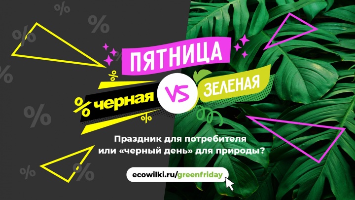 Провести Черную пятницу разумно призывают экологи жителей Подмосковья