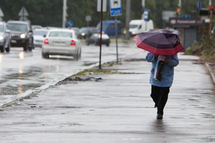 В Химках ожидается дождь и усиление ветра