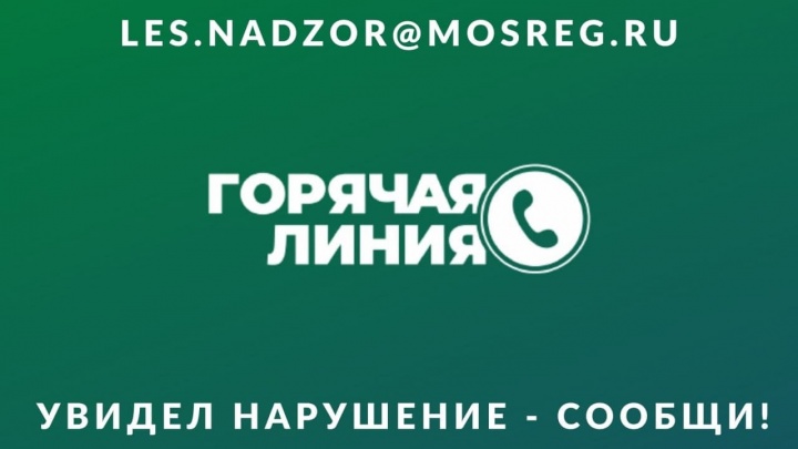 В Химках запустили горячую линию для предотвращения свалок на землях лесного фонда