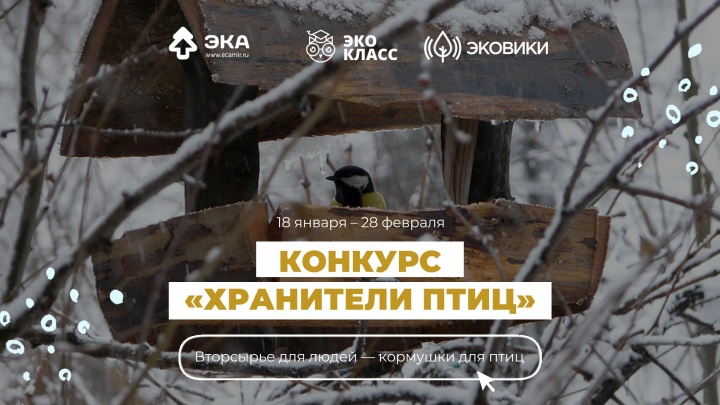 Спасти зимующих птиц: жителей Подмосковья приглашают на конкурс экокормушек