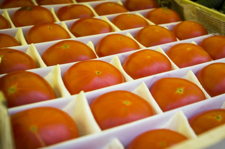 Тематическая ярмарка «Золотая осень» проходит в Химках