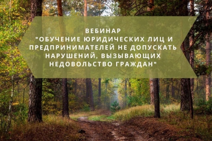 Химкинских предпринимателей приглашают на вебинар по соблюдению лесного законодательства